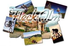 Stellenangebote Fleckalm, Kirchberg