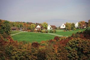 Stellenangebote Hofgut Albführen, Dettighofen Stellenangebote Hofgut Albführen, Dettighofen