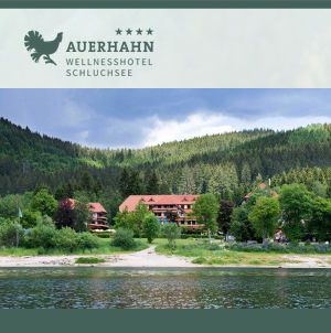 Stellenangebote Thoma Hotels und Wellness GmbH, Schluchsee Aha Stellenangebote Thoma Hotels und Wellness GmbH, Schluchsee Aha